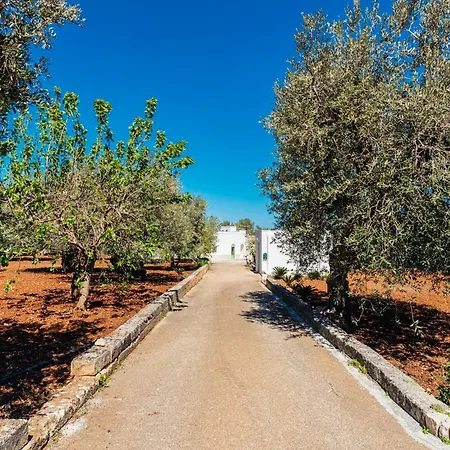 Mati Macchia di Monte